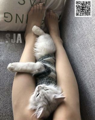 老妇乱肉俱乐部小说_蓝光免费观看视频