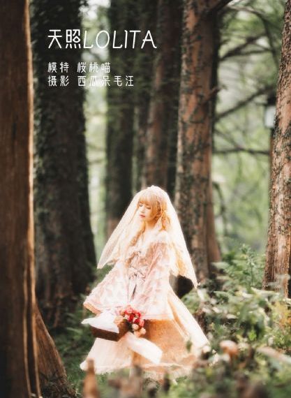 私库在线播放视频欧美_全集高清在线观看